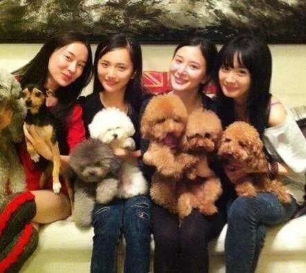 杨幂是不是又回到以前的样子了,杨幂其实大家都不容易互相理解吧