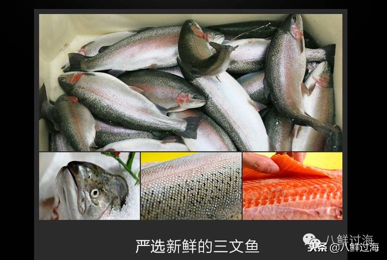 有人拿什么鱼冒充三文鱼,怎么分清楚真假三文鱼