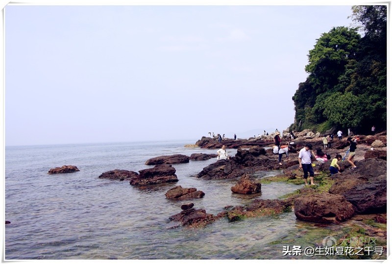 深圳市杨梅坑美人鱼拍摄基地,深圳大鹏杨梅坑美人鱼拍摄地点