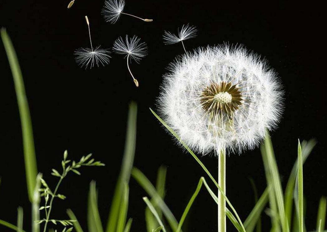 对待聪明人的办法,面对阴险狡猾的人该怎么回避他