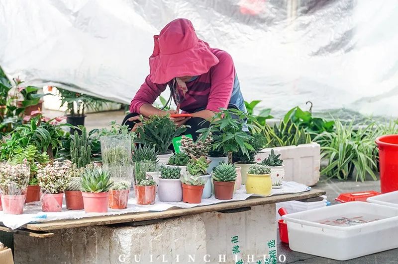 灵川县商贸城,灵川最好的商贸城