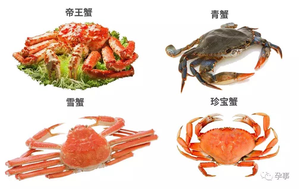 叶璇怀孕居然吃了一箱螃蟹？其实这些孕妇都可以吃