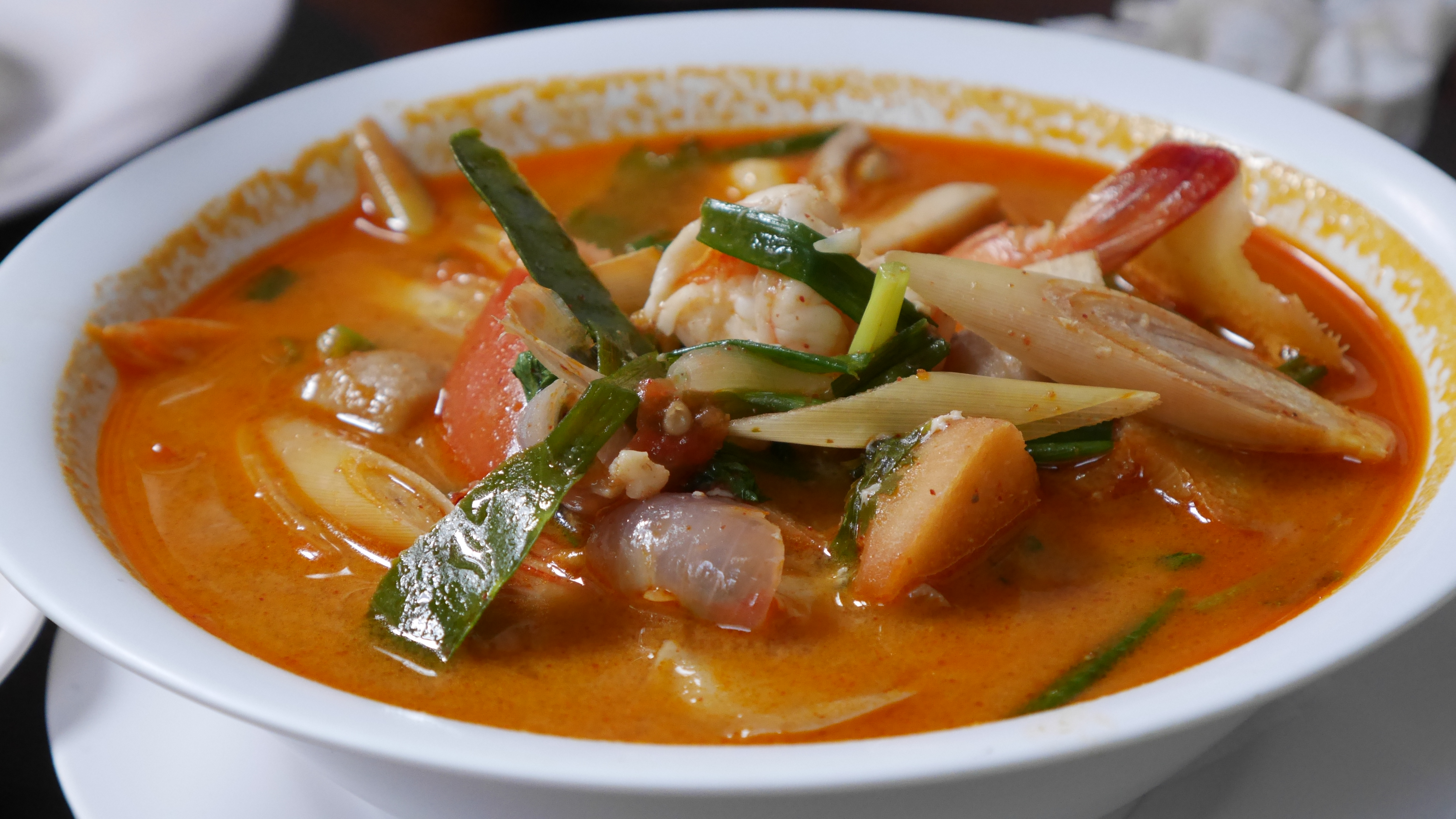 在普吉岛浮潜拍到的美妙海底世界 (普吉岛cape panwa hotel浮潜)