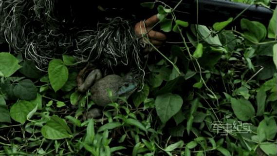 被奶狗偷亲也不能动!淡定背后,军人们经历了啥……