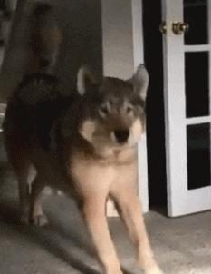 “老婆居然穿这种裤子出门，难怪大家都在看她，太丢脸了！”哈哈