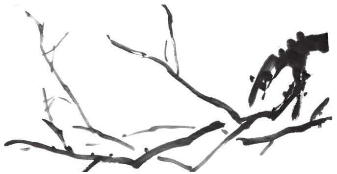 梅花入门画法教程,梅花的十种画法讲解