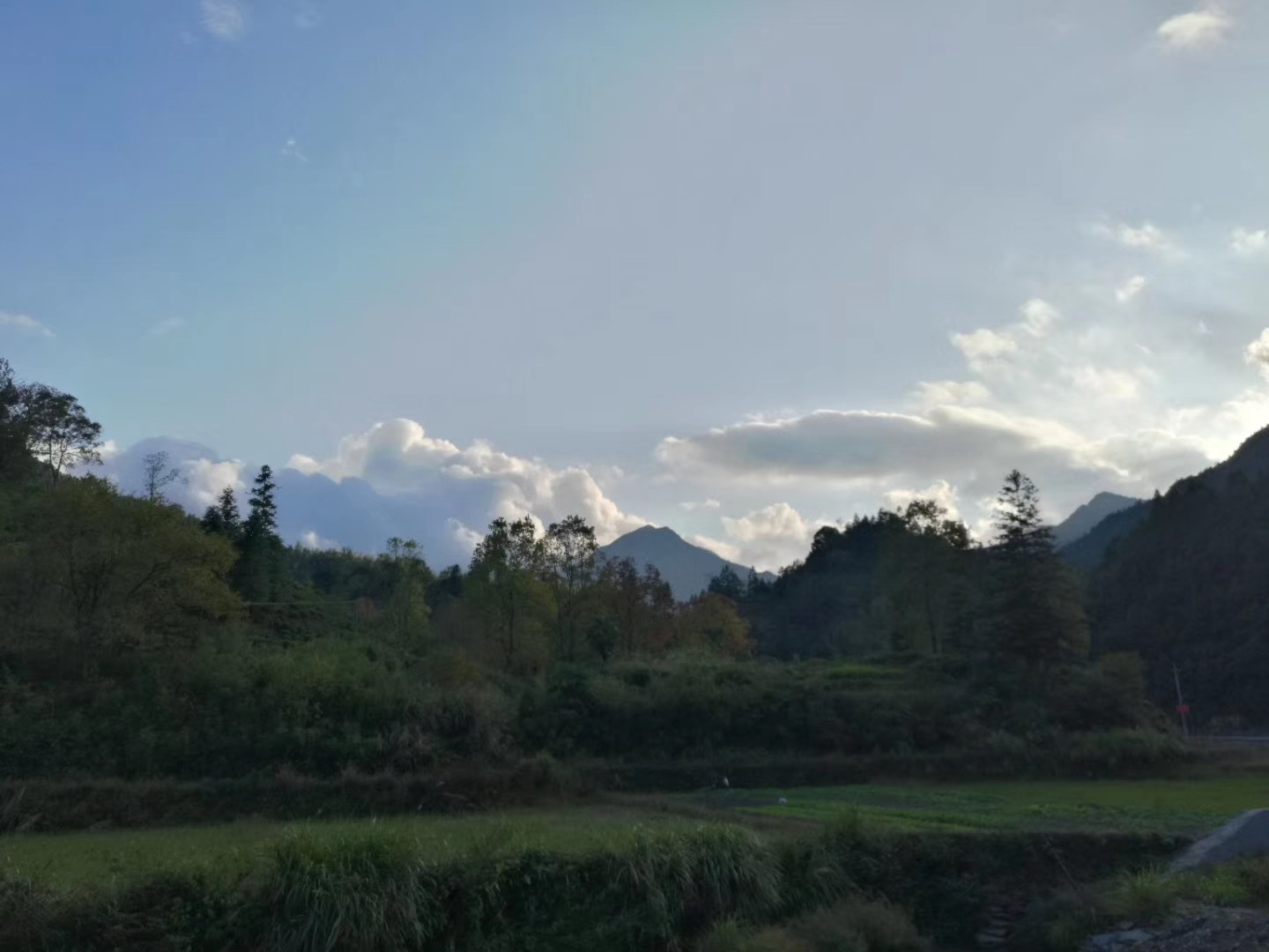 驻村日记十六：鼻咽癌放疗后副反应的中医治疗，调护不应故弄玄虚