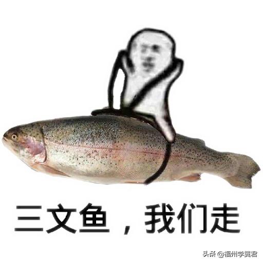 三文鱼又背锅了,背锅侠三文鱼