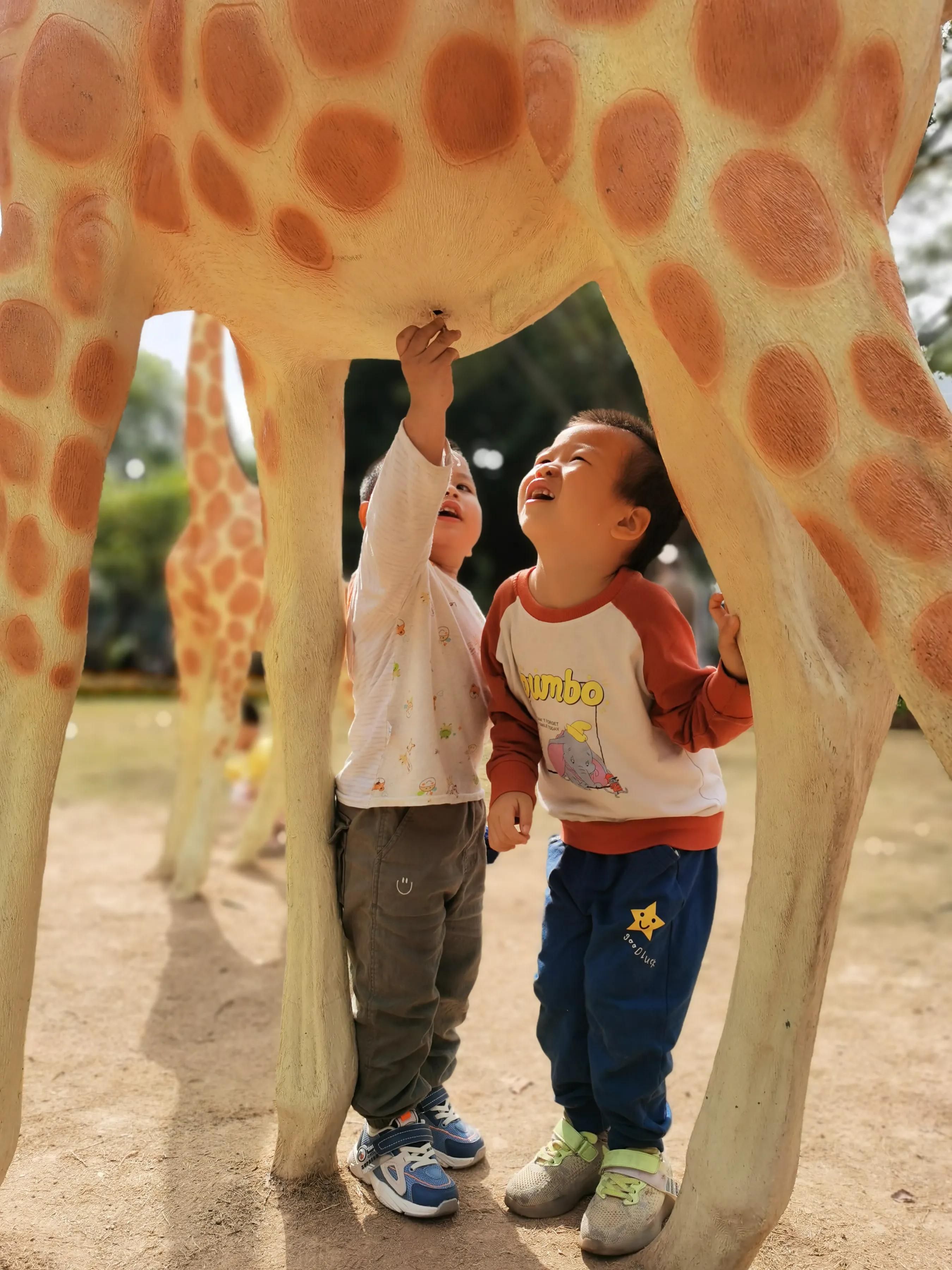 手拍世界作品集402期,2022年世界手机摄影大赛征稿