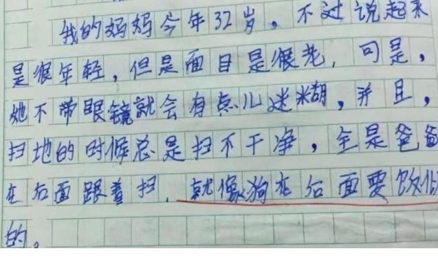 我讨厌爸爸作文,我的爸爸脾气很暴躁的作文