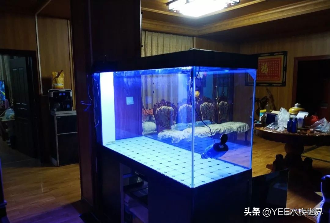 水族粘水管的胶,水族缸胶