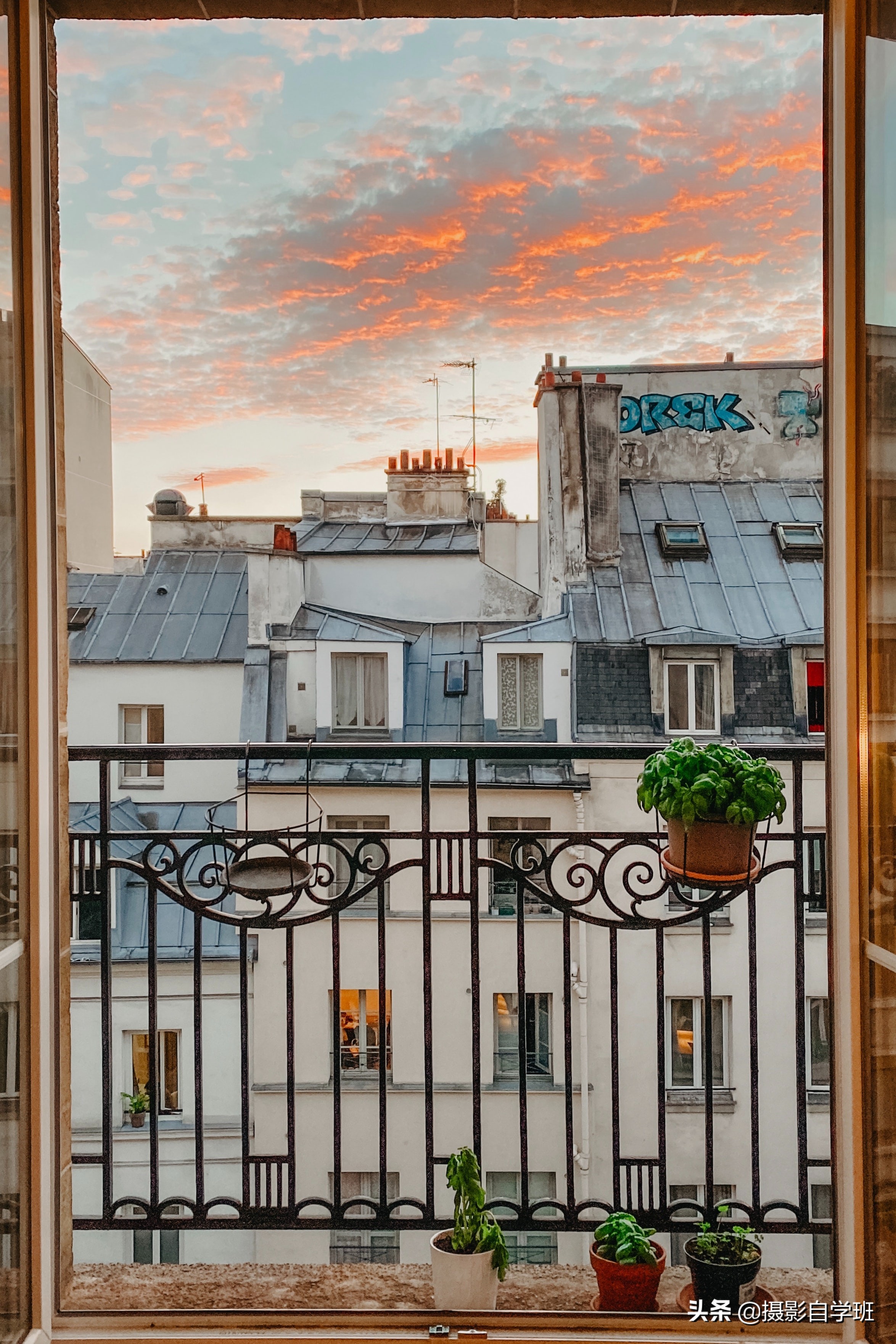 手机拍照11个绝招推荐,手机拍照技巧100个图解