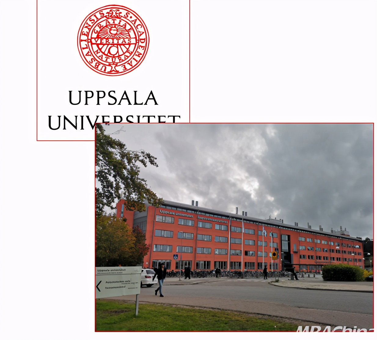 上海大学mba2024,上海大学mba备考