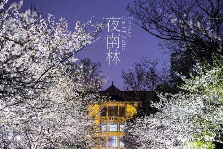 2019考研择校分析—南京林业大学