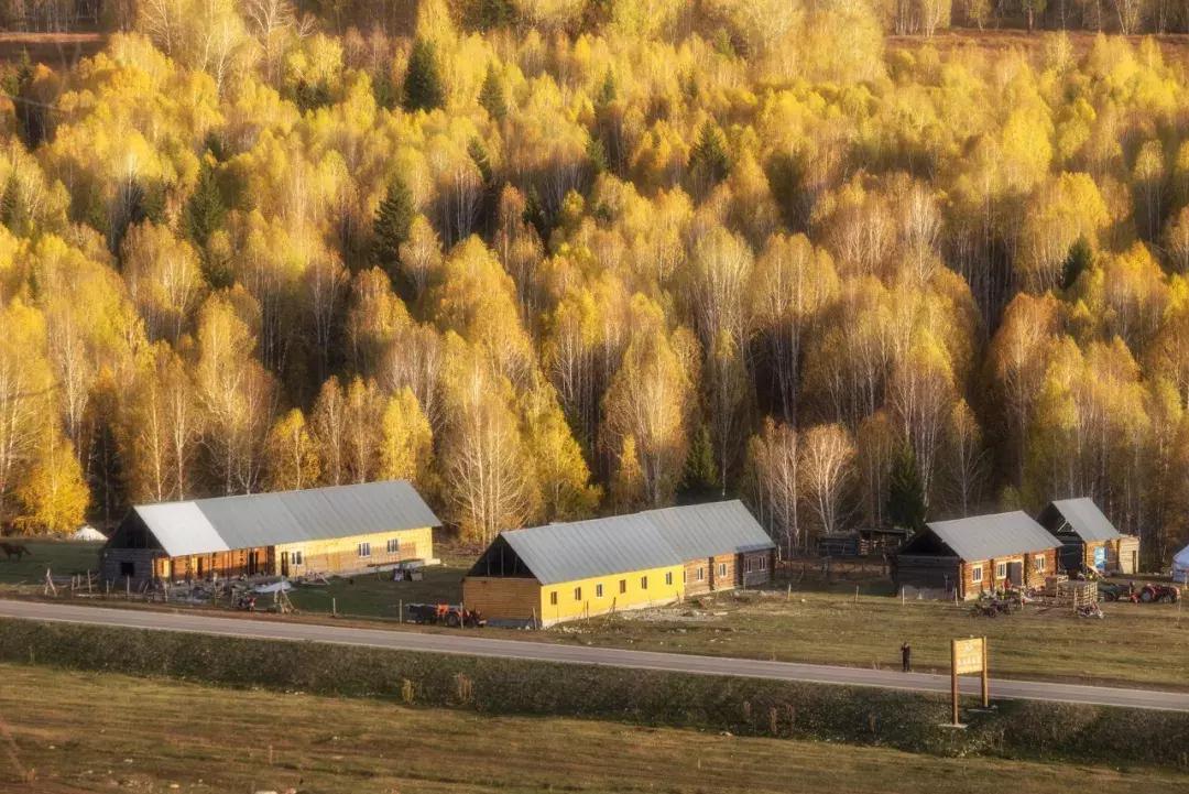 夫妻一方可以单独买卖房屋吗,夫妻共有房屋一方不卖怎么处理