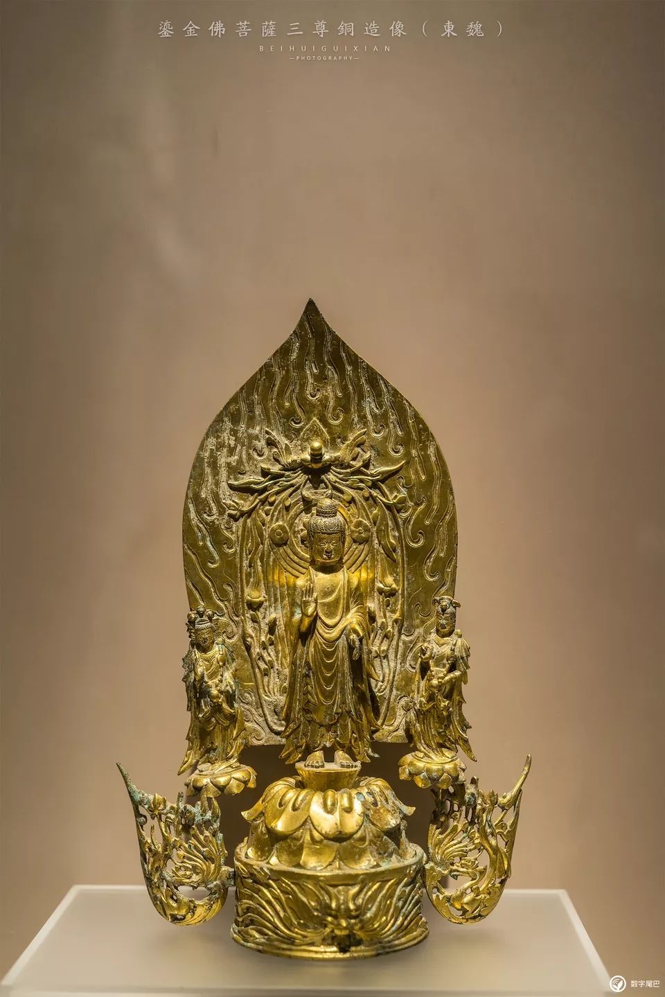 一起去博物馆发现古老的神器,陕西历史博物馆游览全攻略