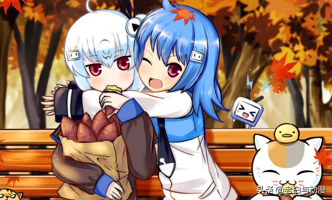 b站新购买的老番,b站买了超级会员又买了大会员