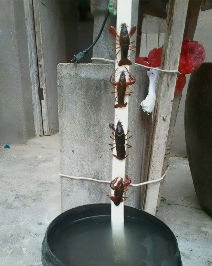 你觉得安徽人如何,在你眼中的安徽人怎么样