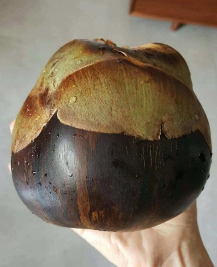 50种不常见的奇葩水果,盘点一下那些少见而又奇葩的水果