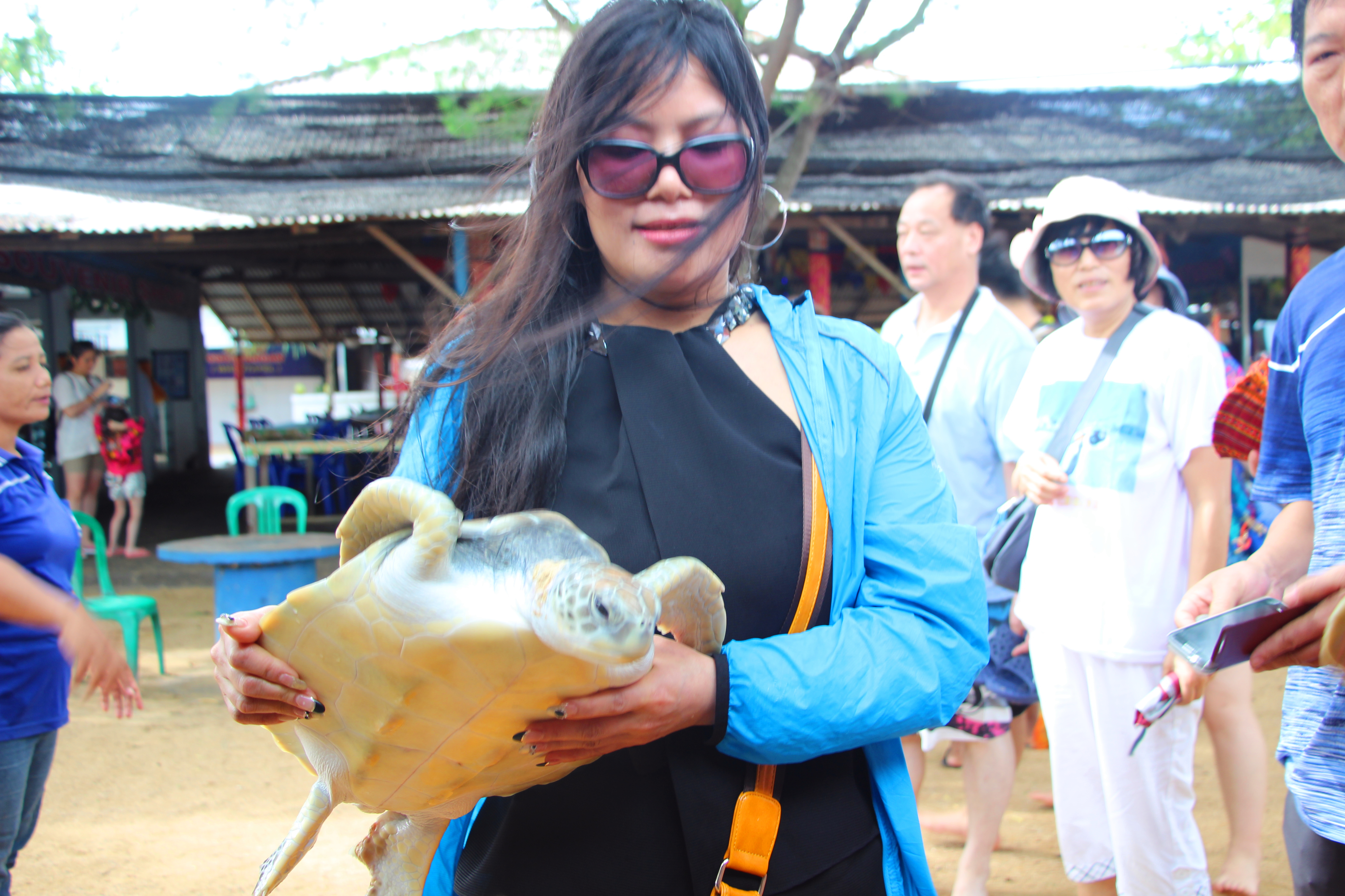 天堂之岛巴厘岛,天堂之岛巴厘岛旅游