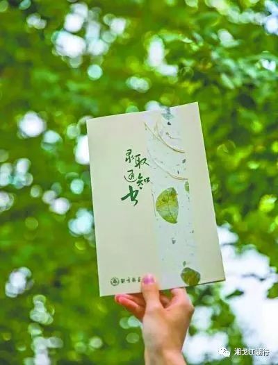 情殇粤语男声,情殇二胡版