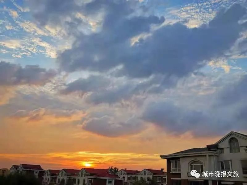 城晚拍拍丨飞鸟过帆影