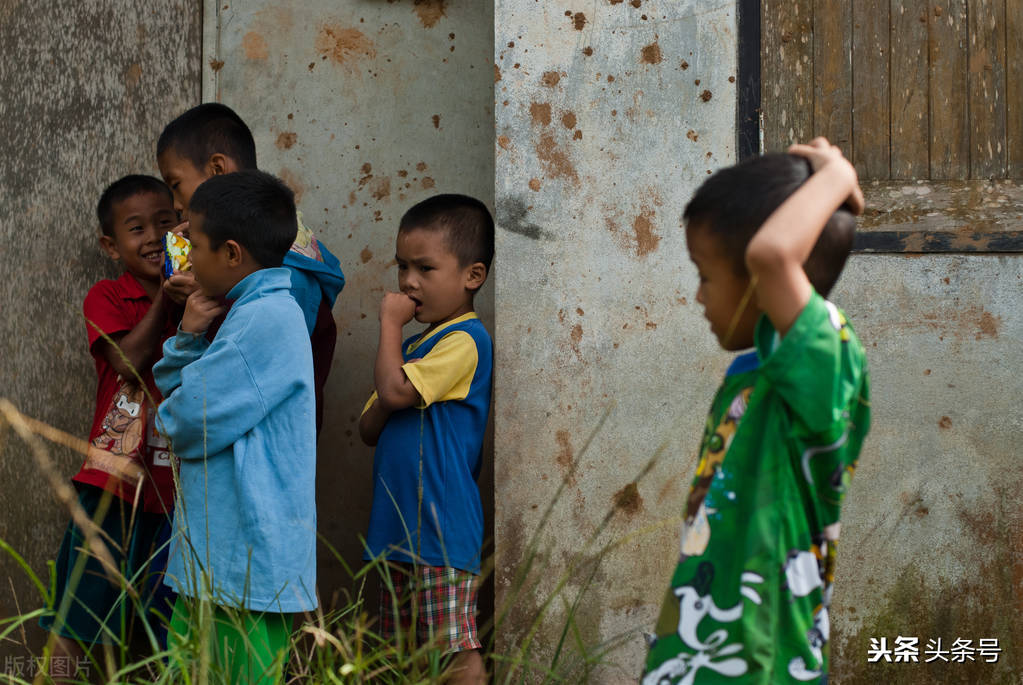 爱心章鱼煲,超美的章鱼烧