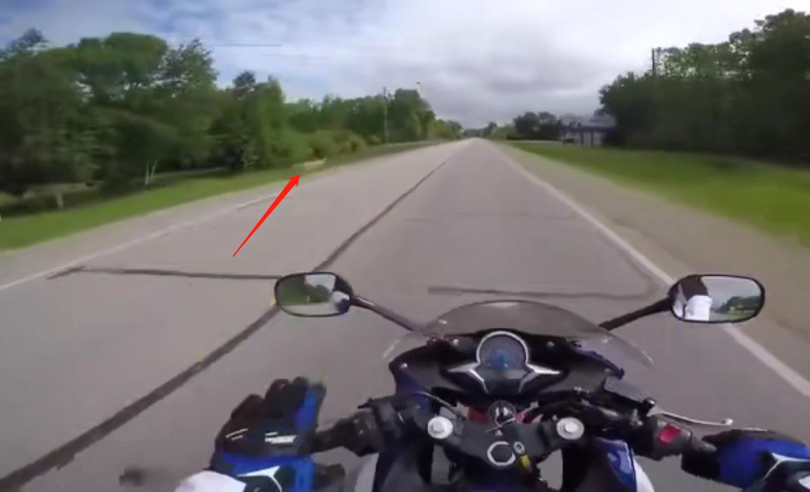 货车撞上牛群当场撞死14头牛,货车撞上牛群致14头牛当场死亡