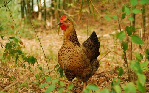 不如，这次来这儿重新定义一下“周末”怎么样？