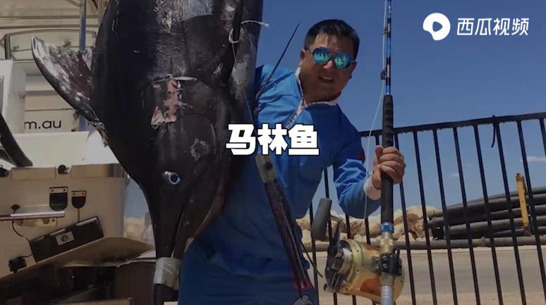 这4种鱼能让你变成百万富翁,钓到发财的鱼视频