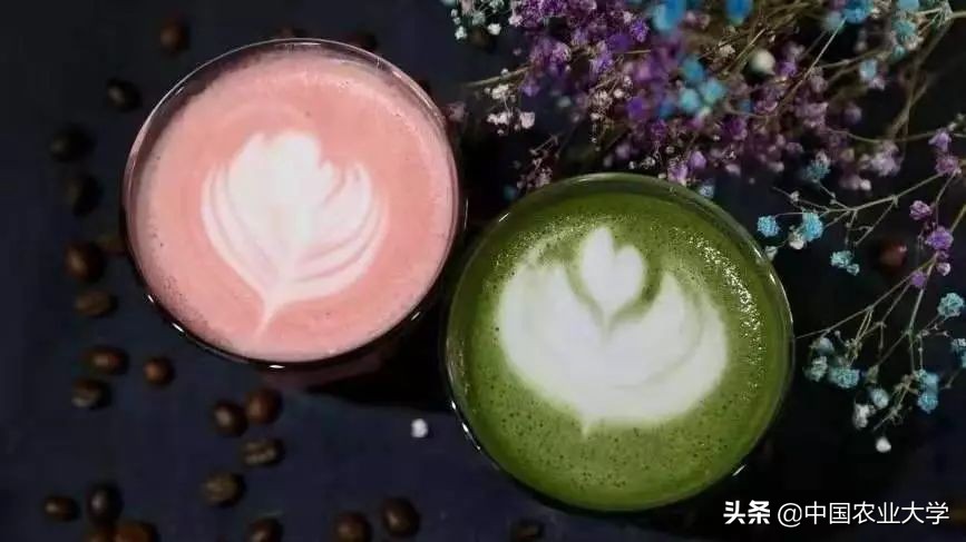 农大学子什么样？大学就该这样上！