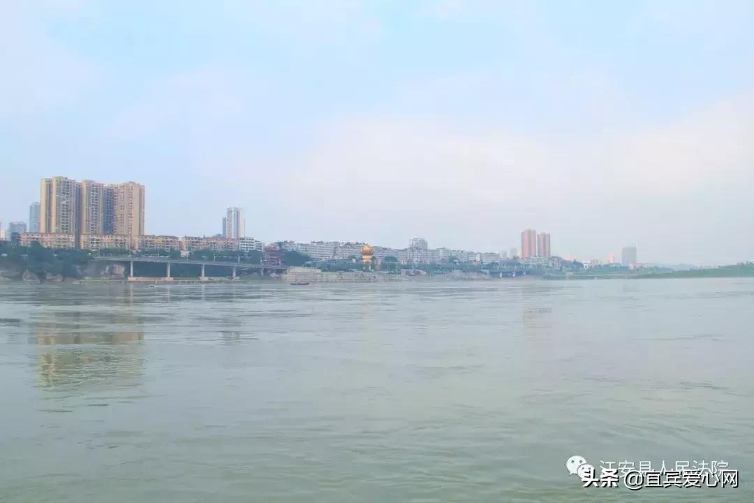 长记性啦,为啥在宜宾不能乱捕泥鳅黄鳝?江安县法院有话说