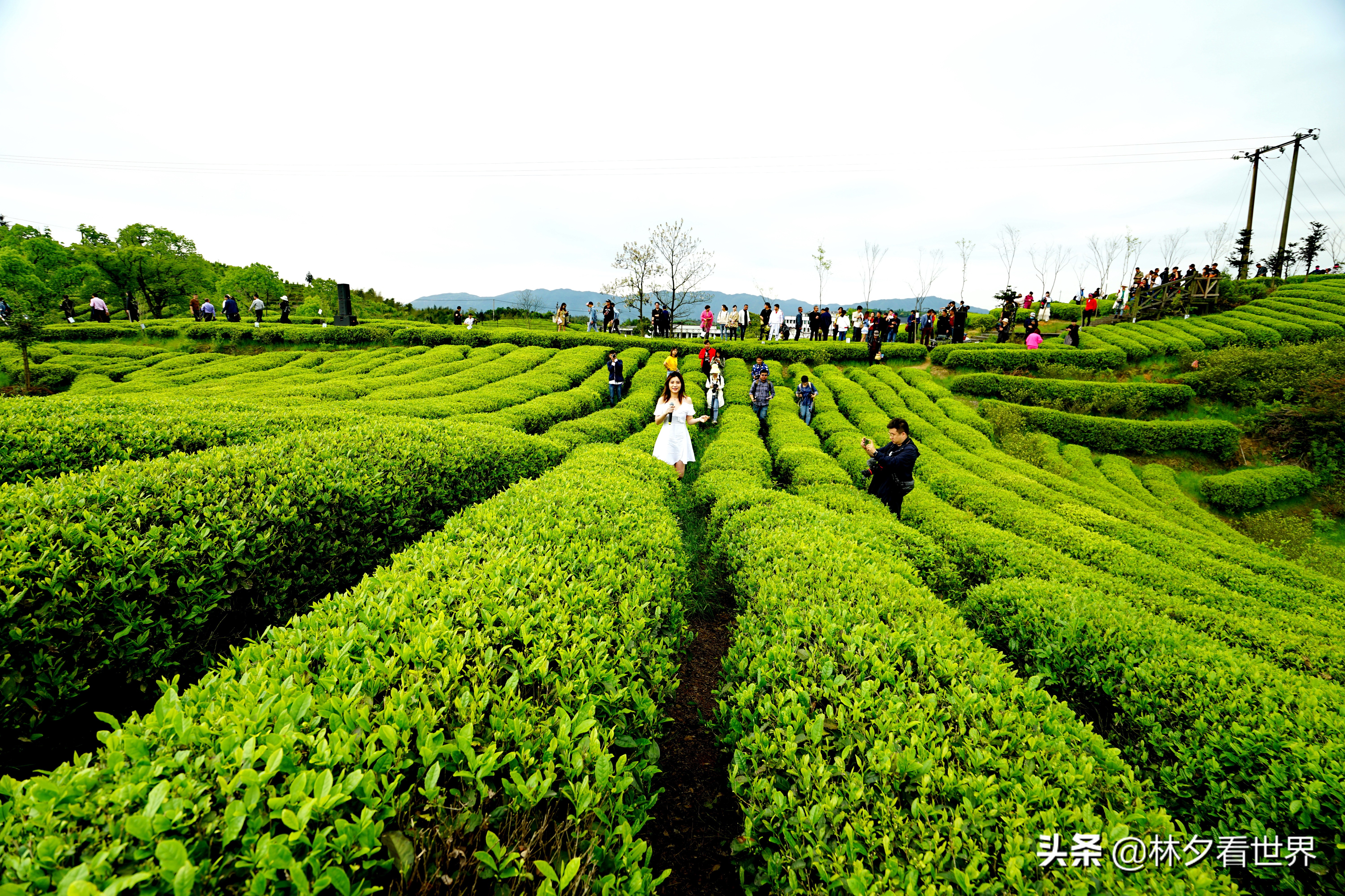 苍南最佳景点排名前十名,浙江苍南最美的地方