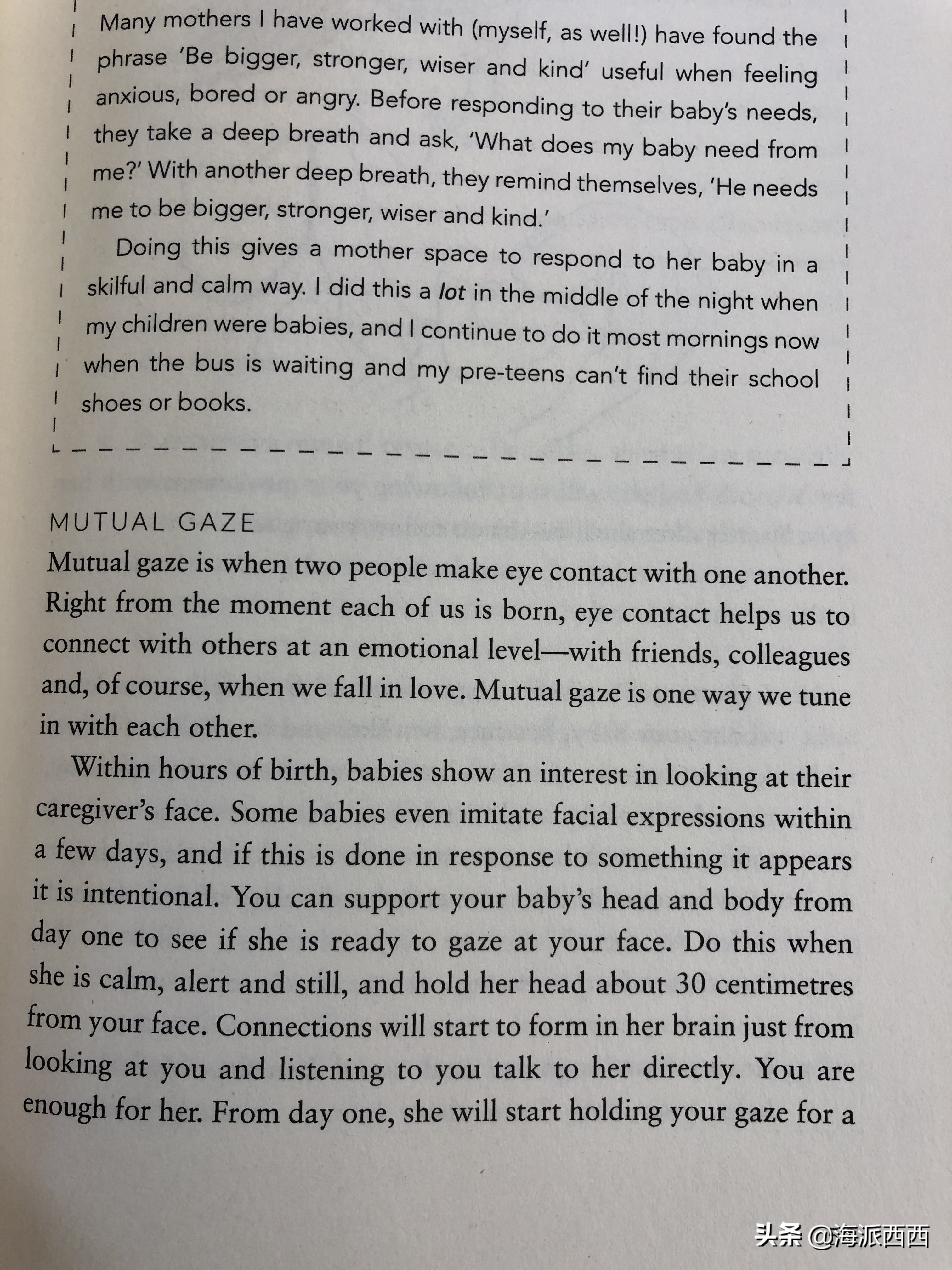 怀孕日记真实记录文字,怀孕日志之孕早期这些事