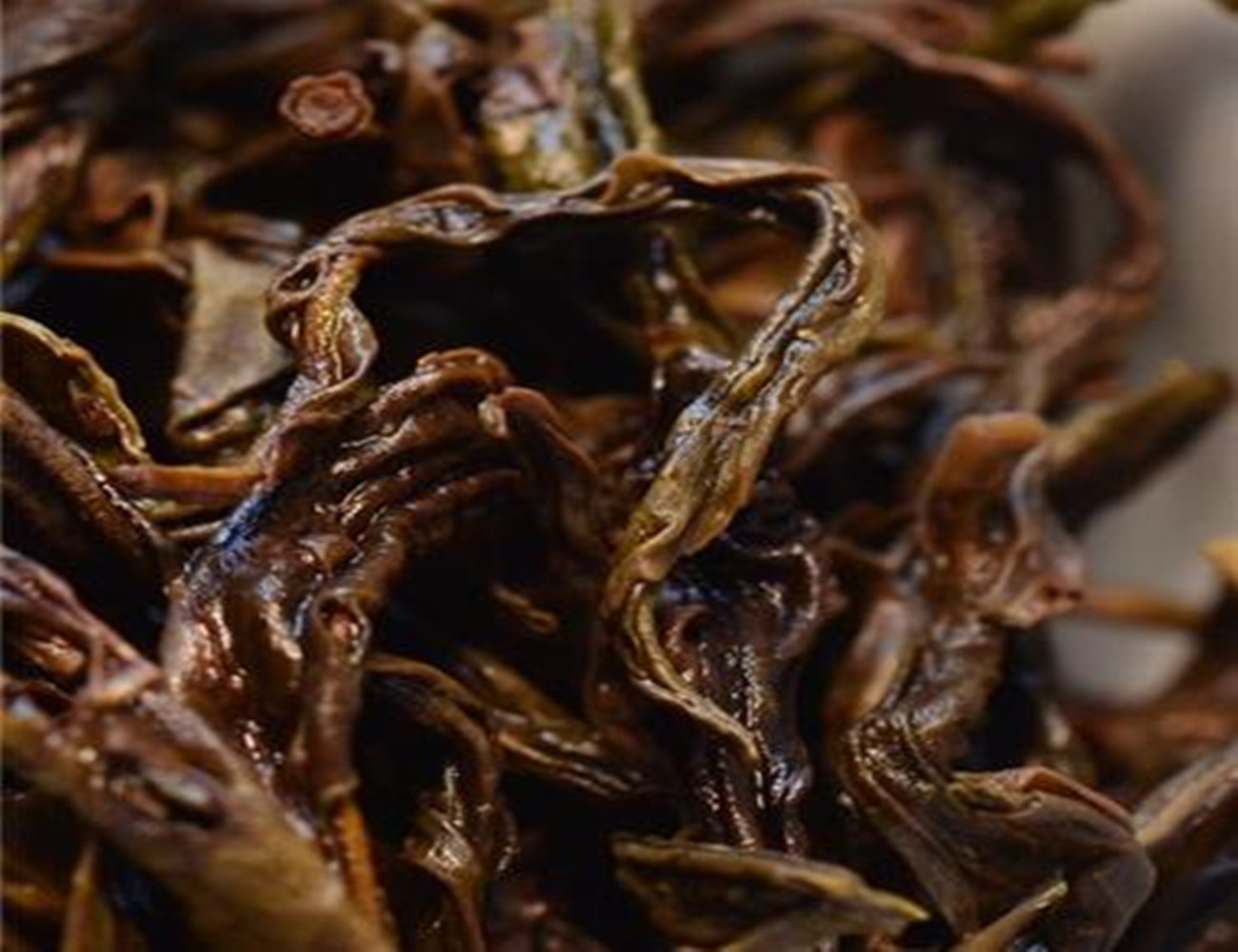 老枞水仙的枞味,老枞水仙茶是什么味道