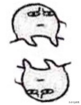 盘点整容后不敢认的女星颜值巅峰,知名女网红被扒整容