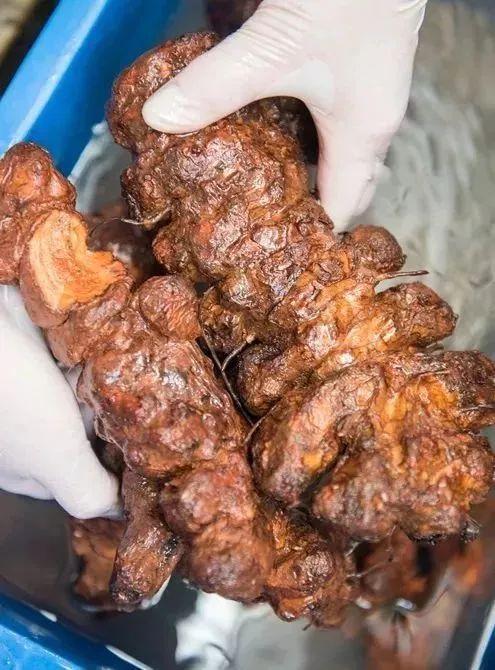 好吃又简单又好看的网红甜品,超级好吃又好看的网红甜品