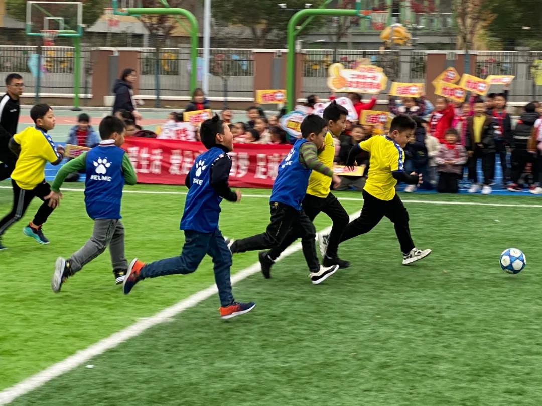 魅力足球绿荫筑梦,魅力足球描绘梦想