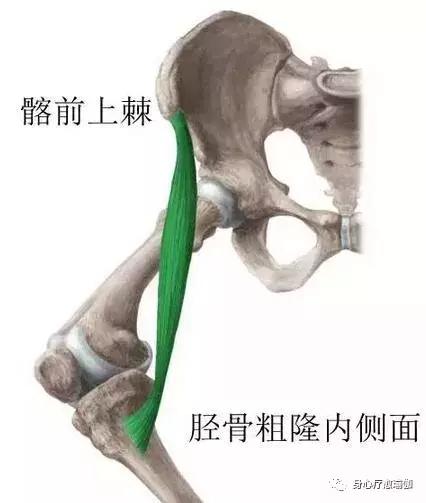 瑜伽半莲花盘坐方式,瑜伽莲花盘坐脚踝很疼