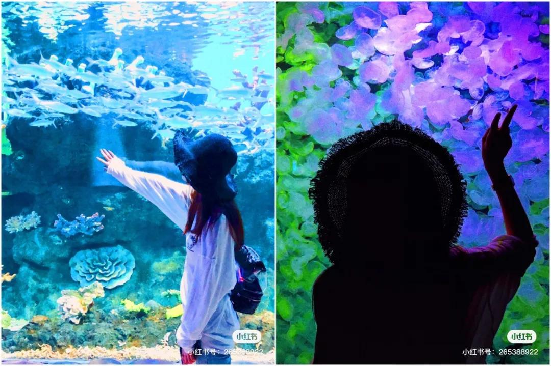 西安室内游乐场排行榜第一,西安最好玩的游乐场推荐