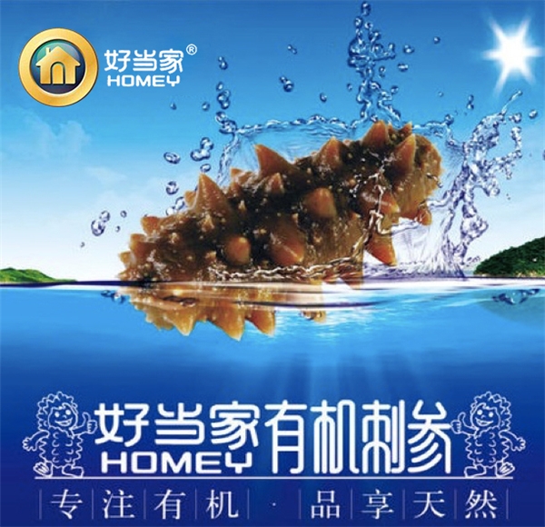 好当家有机海参直播,好当家有机海参鲜炖燕窝