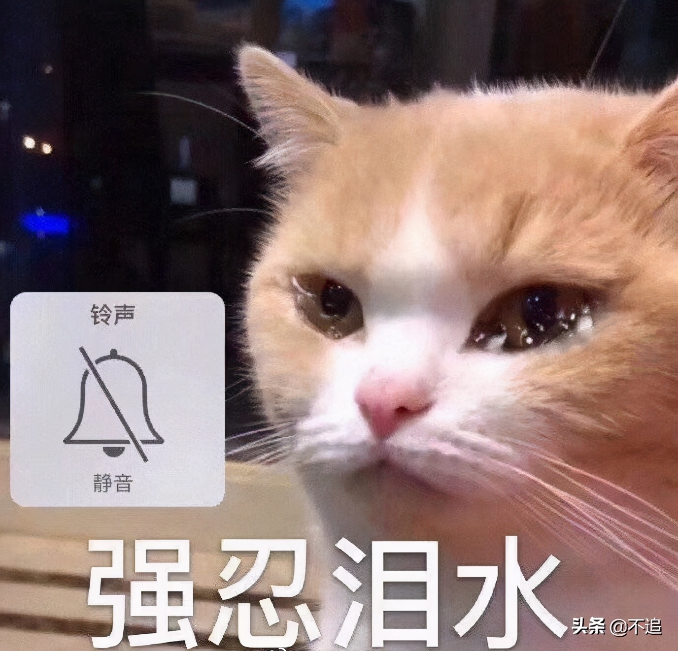 平价唇炎用的唇膏,唇炎可以用的有色唇膏测评