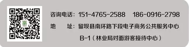 留坝电商中心怎么样,留坝县电子商务运营