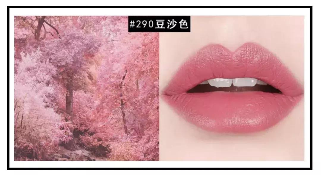 当红小鲜肉集合,当红小鲜肉