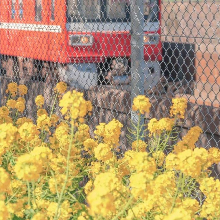 有趣的锁骨千篇一律,好看有趣的锁骨