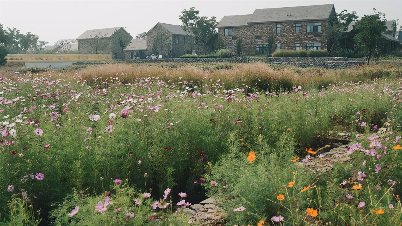 浅谈全国34个省级区域之华东篇：江苏省—宿迁市