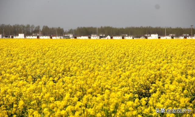 济宁各县区经济总量,济宁市下辖几个县市gdp