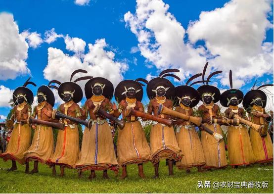 又一国家首次爆发非洲猪瘟疫情！今年内全球已发生3532起非瘟疫情