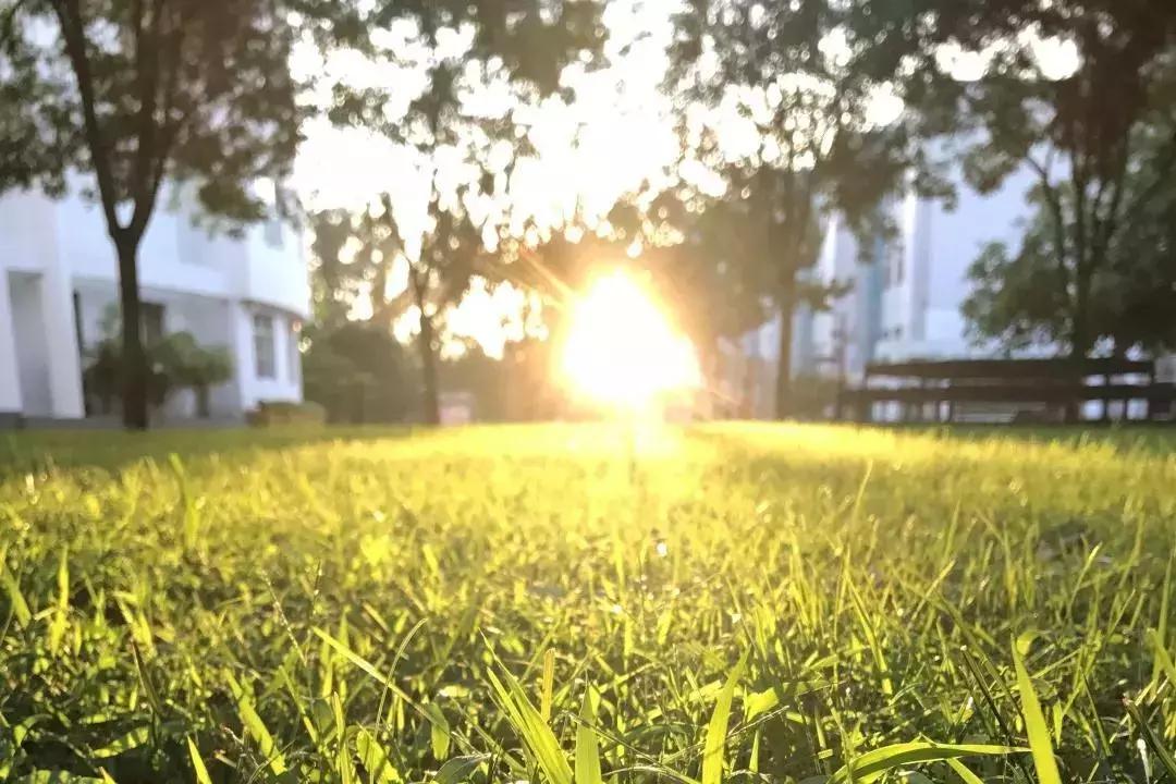 北京师范亚太实验学校是私立的吗,北京师范大学亚太实验学校学前