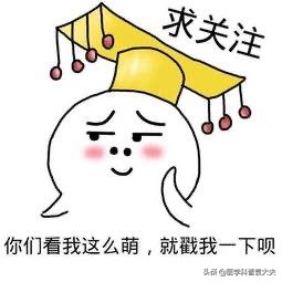 加味逍遥丸和丹栀逍遥丸功效区别,加味逍遥丸和丹栀逍遥丸功效作用